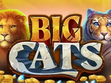 Mr Bet Casino screenshot